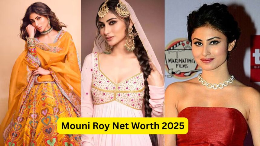 Mouni Roy Net Worth 2025