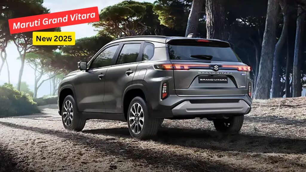 Maruti Grand Vitara
